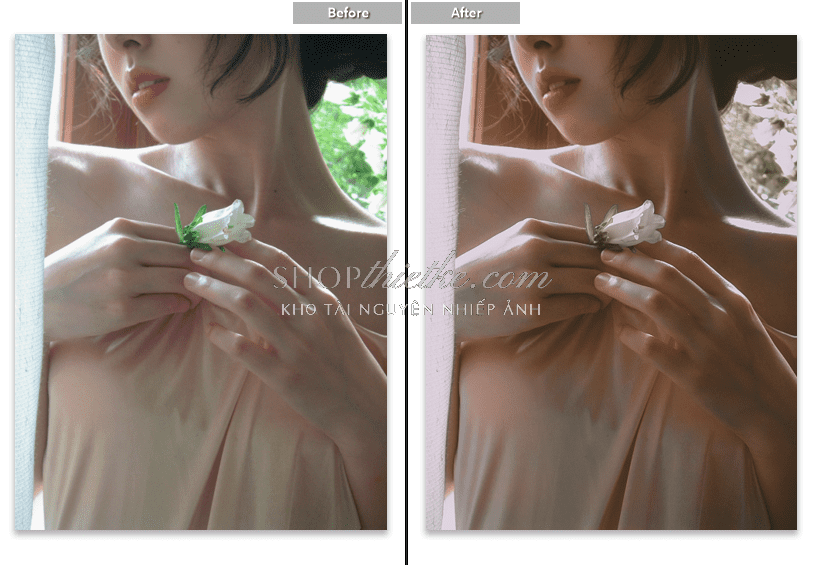 shopthietke com anh 81