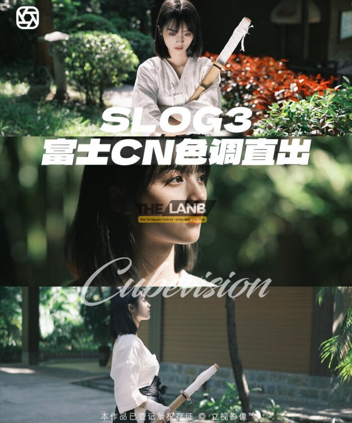 Full Bộ LUT Sony In-Camera – Giả Lập Màu Phim Điện Ảnh Cho A6700, A7C2, FX3, FX6, ZV-E1... (CUBE)