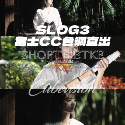 Full Bộ LUT Sony In-Camera – Giả Lập Màu Phim Điện Ảnh Cho A6700, A7C2, FX3, FX6, ZV-E1... (CUBE) 11 shopthietke com thelanb com Thelanb.com 15