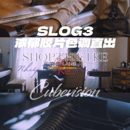 Full Bộ LUT Sony In-Camera – Giả Lập Màu Phim Điện Ảnh Cho A6700, A7C2, FX3, FX6, ZV-E1... (CUBE) 10 shopthietke com thelanb com Thelanb.com 18