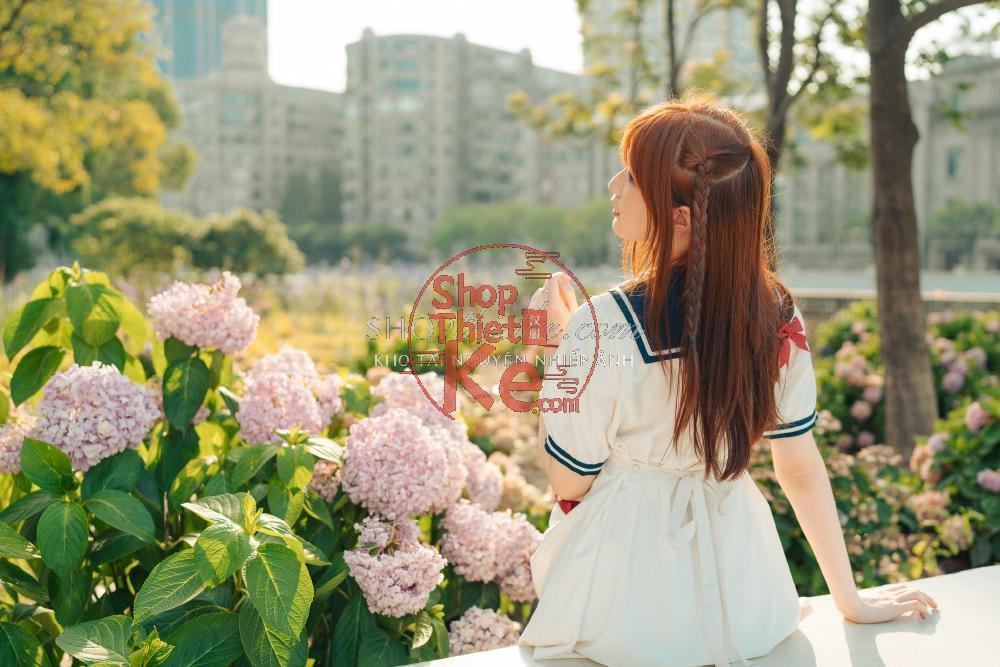 Bộ Màu Lightroom Mô Phỏng Máy Ảnh Cổ Điển – Phát Triển Bởi Shopthietke.com (XMP/DNG) 5 shopthietke com 芋头绣球花胶片色