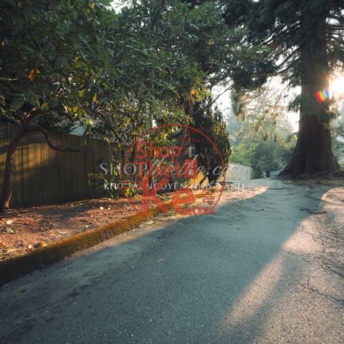 Chỉnh Ảnh Du Lịch Đẹp Hơn Với 06 Preset Lightroom Street Và Nature (XMP/DNG)