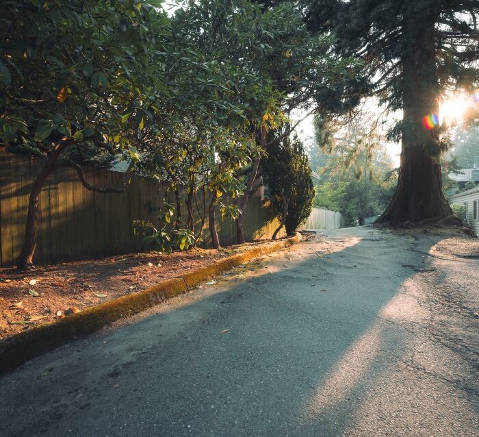 Chỉnh Ảnh Du Lịch Đẹp Hơn Với 06 Preset Lightroom Street Và Nature (XMP/DNG)