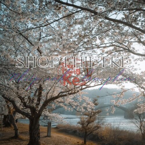 Preset Lightroom Phong Cảnh Forest Tone – Xanh Rừng & Autumn Mood (XMP/DNG)