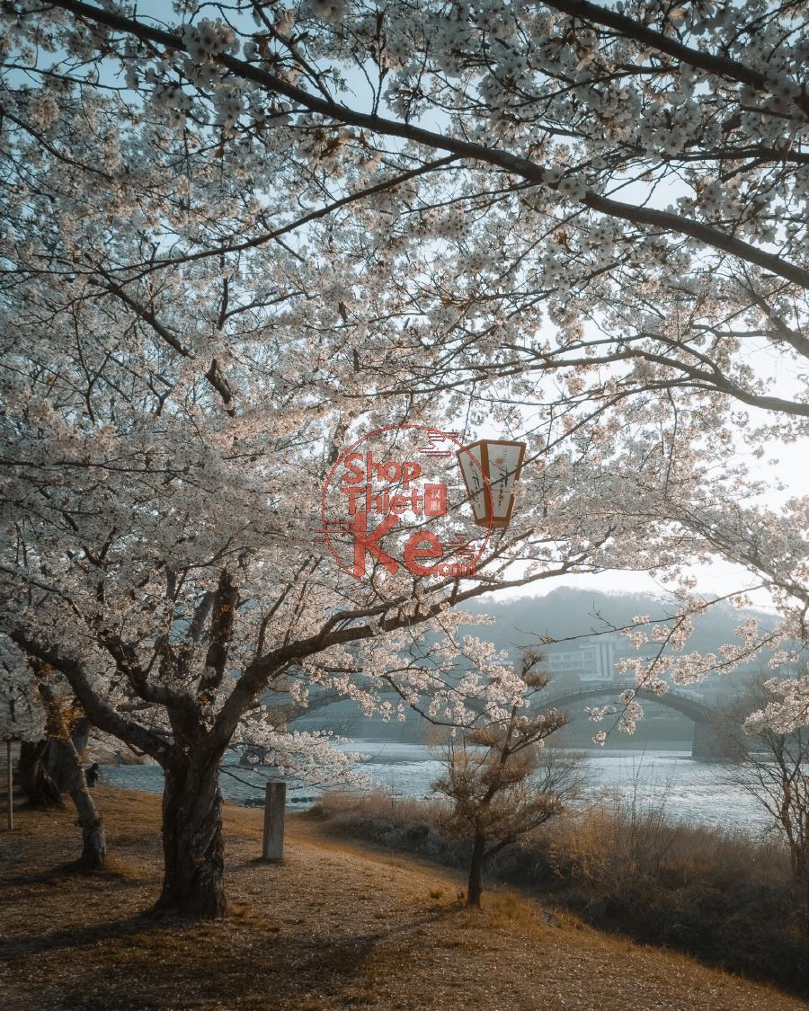 Preset Lightroom Phong Cảnh Forest Tone – Xanh Rừng & Autumn Mood (XMP/DNG) 7 shopthietke com IMG 20180403 065918 1