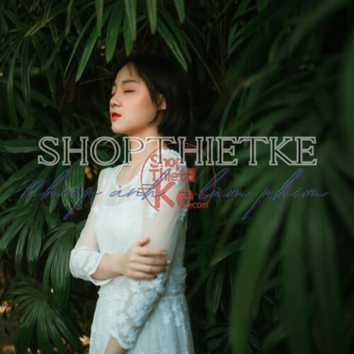 Preset Lightroom Phong Cảnh Forest Tone – Xanh Rừng & Autumn Mood (XMP/DNG)