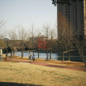 Bộ Màu Kodak 5219 Film Preset XMP CUBE Cho Ảnh Và Video (XMP/CUBE)