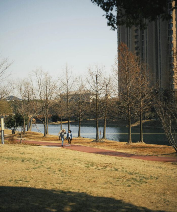 Bộ Màu Kodak 5219 Film Preset XMP CUBE Cho Ảnh Và Video (XMP/CUBE)