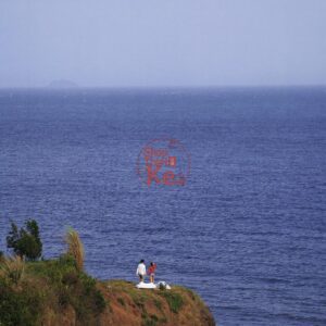 Bộ 4 Preset & LUT Arai Shinsei – Tone Điện Ảnh Nhật Bản, Full XMP + CUBE