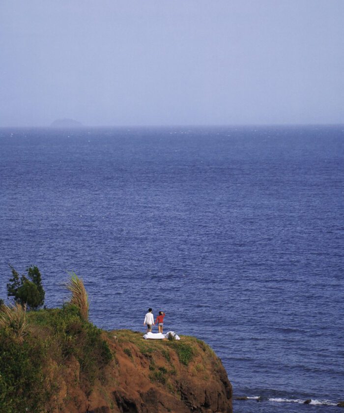 Bộ 4 Preset & LUT Arai Shinsei – Tone Điện Ảnh Nhật Bản, Full XMP + CUBE