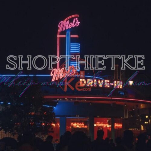 Bộ Màu Kodak 5219 Film Preset XMP CUBE Cho Ảnh Và Video (XMP/CUBE)