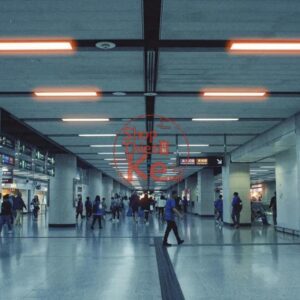 Bộ Màu Kodak 5219 Film Preset XMP CUBE Cho Ảnh Và Video (XMP/CUBE)