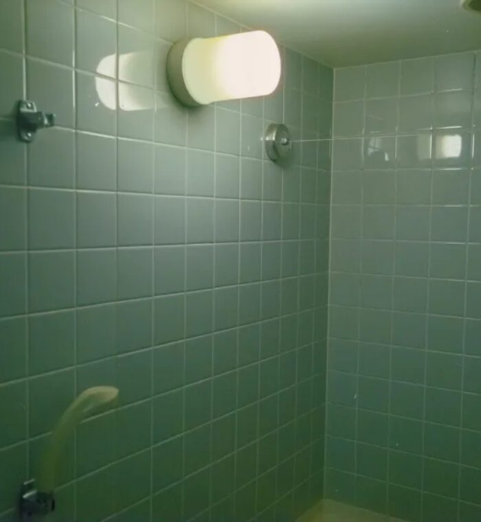 Bộ Màu Kodak 5219 Film Preset XMP CUBE Cho Ảnh Và Video (XMP/CUBE)