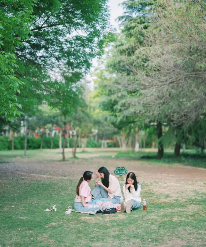 Tải Preset Giả Lập Pro400H SP3000 Film Cinematic Cho Ảnh RAW JPG (XMP/CUBE)