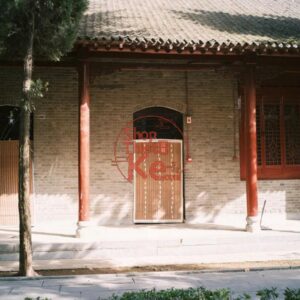 Tải Preset Giả Lập Pro400H SP3000 Film Cinematic Cho Ảnh RAW JPG (XMP/CUBE)