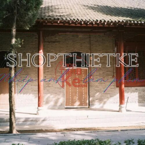 Tải Preset Giả Lập Pro400H SP3000 Film Cinematic Cho Ảnh RAW JPG (XMP/CUBE)