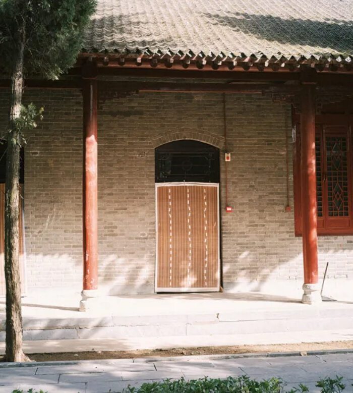 Tải Preset Giả Lập Pro400H SP3000 Film Cinematic Cho Ảnh RAW JPG (XMP/CUBE)