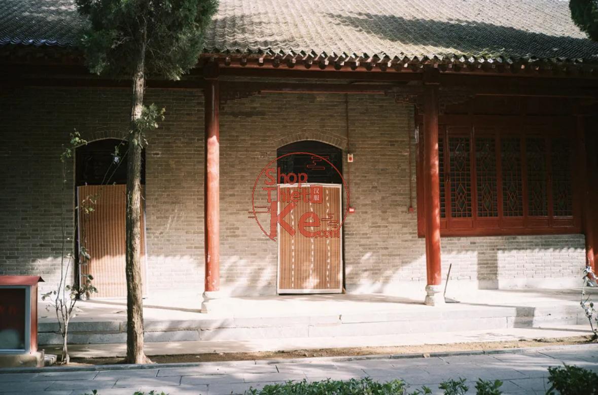 Tải Preset Giả Lập Pro400H SP3000 Film Cinematic Cho Ảnh RAW JPG (XMP/CUBE) 8 shopthietke com Shopthietke.com 129