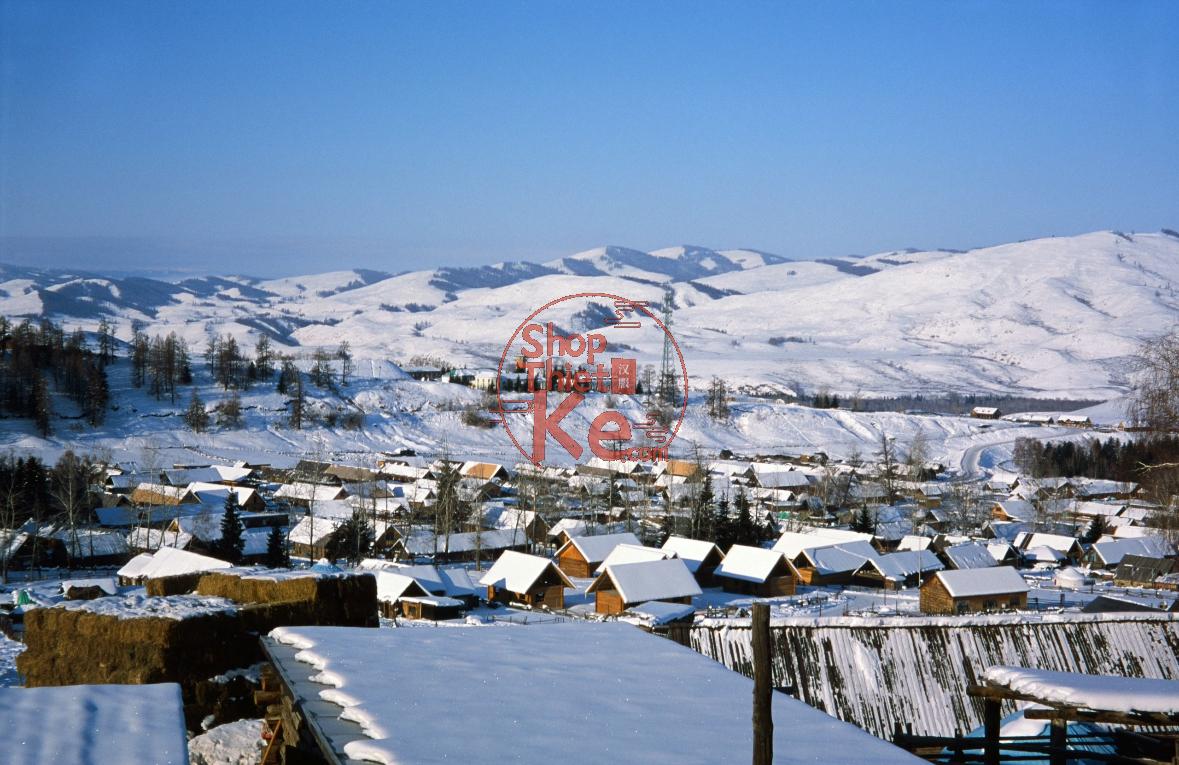 Provia100F Film Simulation – Preset Tái Hiện Màu Phim Reversal Fuji Cực Đẹp (XMP/CUBE) 12 shopthietke com Shopthietke.com 135