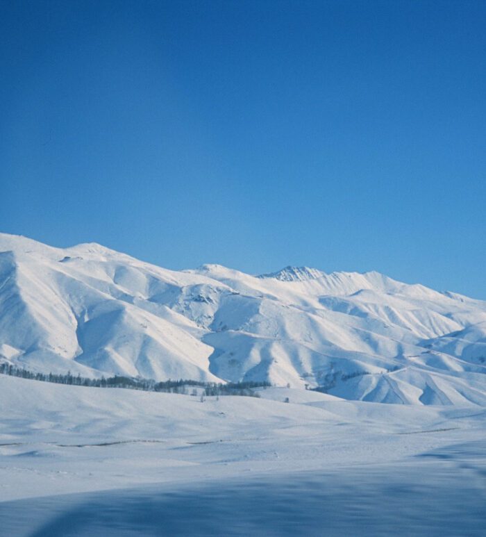 Provia100F Film Simulation – Preset Tái Hiện Màu Phim Reversal Fuji Cực Đẹp (XMP/CUBE)