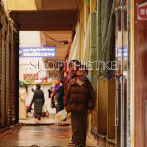 Provia100F Film Simulation – Preset Tái Hiện Màu Phim Reversal Fuji Cực Đẹp (XMP/CUBE)