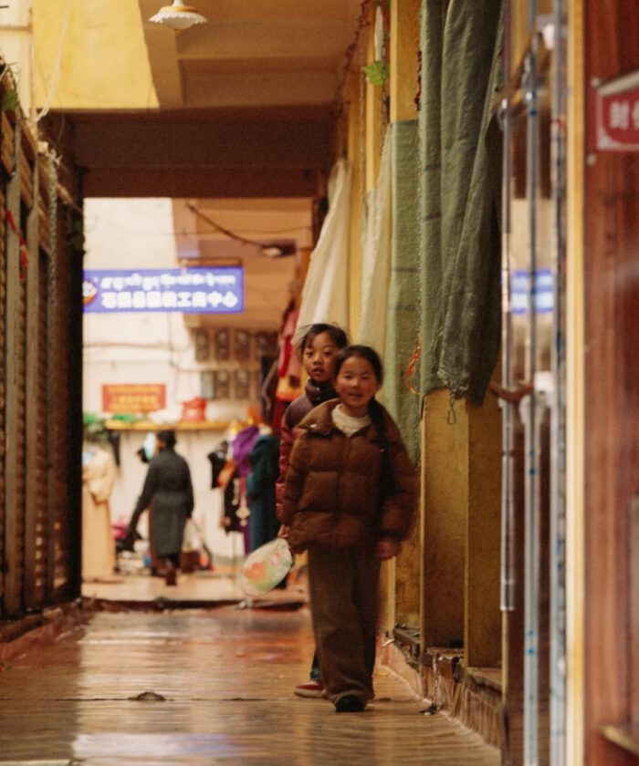 Provia100F Film Simulation – Preset Tái Hiện Màu Phim Reversal Fuji Cực Đẹp (XMP/CUBE)