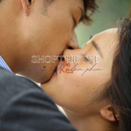 Bộ 4 Preset & LUT Arai Shinsei – Tone Điện Ảnh Nhật Bản, Full XMP + CUBE