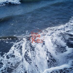 Provia100F Film Simulation – Preset Tái Hiện Màu Phim Reversal Fuji Cực Đẹp (XMP/CUBE)