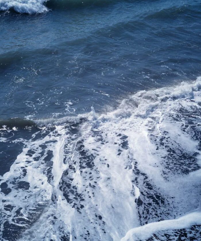 Provia100F Film Simulation – Preset Tái Hiện Màu Phim Reversal Fuji Cực Đẹp (XMP/CUBE)