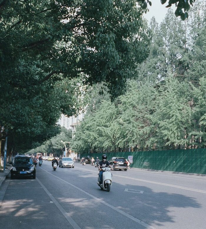 Fuji Vivid250D Film Simulation – Preset Giả Lập Màu Phim Điện Ảnh 250D (XMP/CUBE)