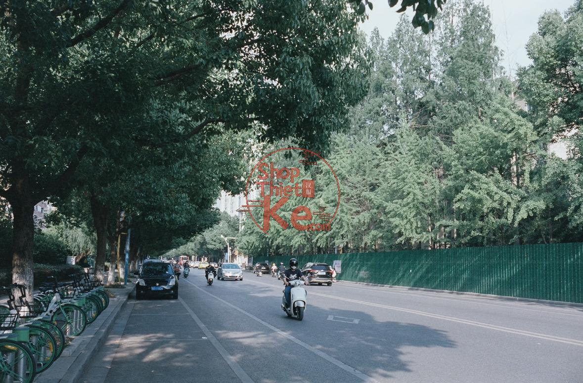 Fuji Vivid250D Film Simulation – Preset Giả Lập Màu Phim Điện Ảnh 250D (XMP/CUBE) 9 shopthietke com Shopthietke.com 147
