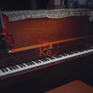 Fuji Vivid250D Film Simulation – Preset Giả Lập Màu Phim Điện Ảnh 250D (XMP/CUBE)