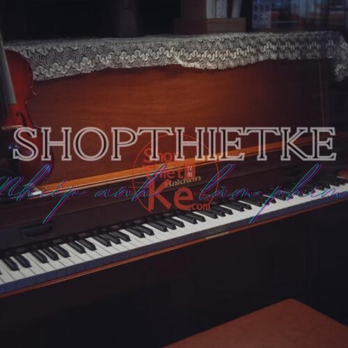 Fuji Vivid250D Film Simulation – Preset Giả Lập Màu Phim Điện Ảnh 250D (XMP/CUBE)