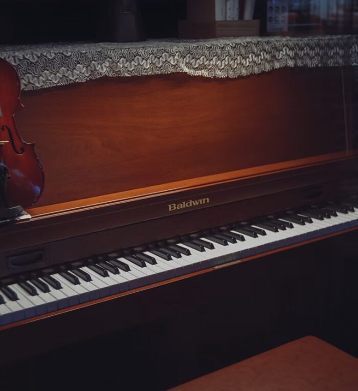 Fuji Vivid250D Film Simulation – Preset Giả Lập Màu Phim Điện Ảnh 250D (XMP/CUBE)