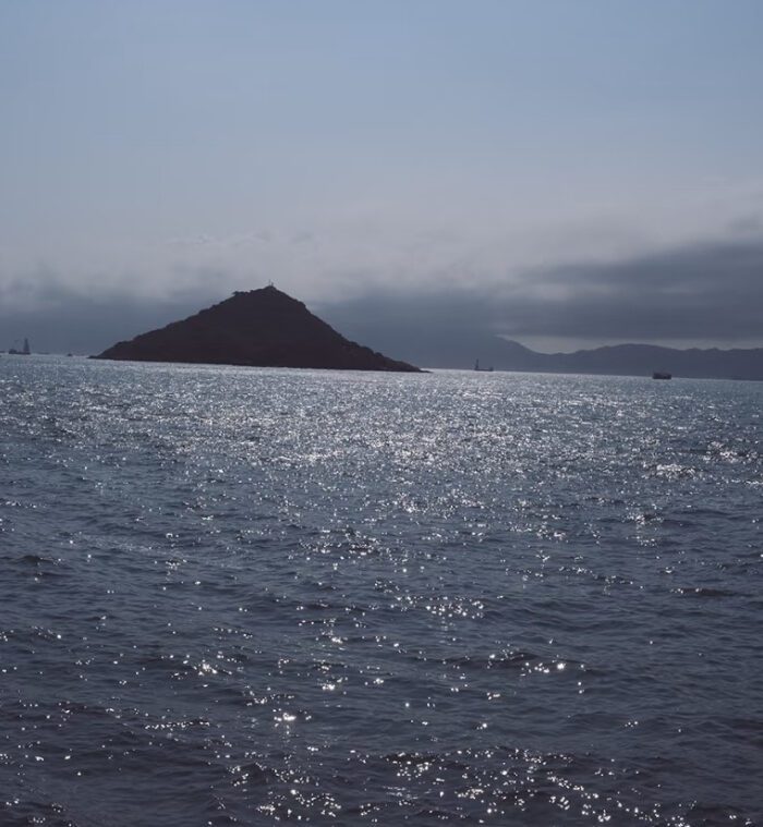 Fuji Vivid250D Film Simulation – Preset Giả Lập Màu Phim Điện Ảnh 250D (XMP/CUBE)