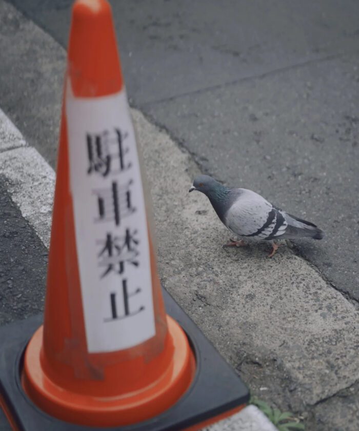 shopthietke com Shopthietke.com 154