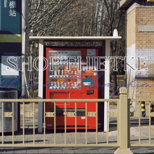 Kodak 5207 Film Simulation – Preset Giả Lập Màu Phim Kodak Vision3 250D (XMP/CUBE)