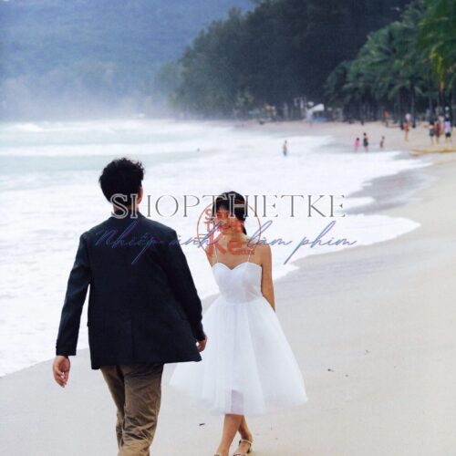 Bộ 4 Preset & LUT Arai Shinsei – Tone Điện Ảnh Nhật Bản, Full XMP + CUBE