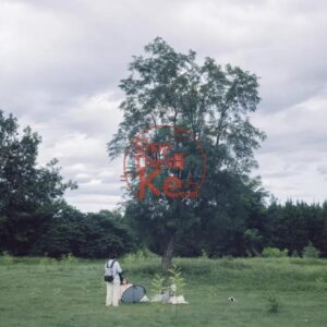 Kodak 5207 Film Simulation – Preset Giả Lập Màu Phim Kodak Vision3 250D (XMP/CUBE)