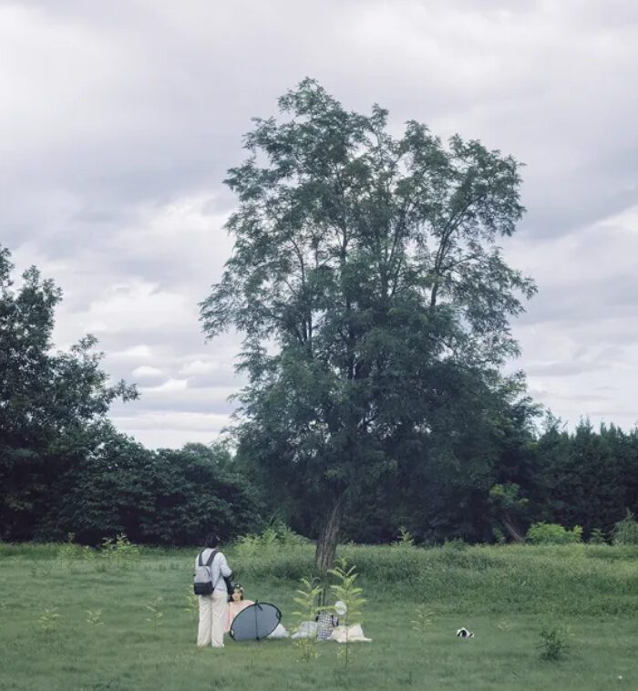 shopthietke com Shopthietke.com 160