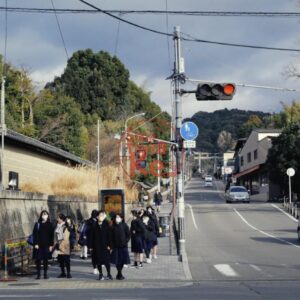 Preset Kodak Ektar 100 Negative – Mô Phỏng Phim Âm Bản Sắc Nét Rực Rỡ (XMP/CUBE)