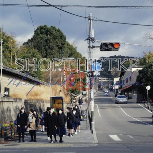 Preset Kodak Ektar 100 Negative – Mô Phỏng Phim Âm Bản Sắc Nét Rực Rỡ (XMP/CUBE)