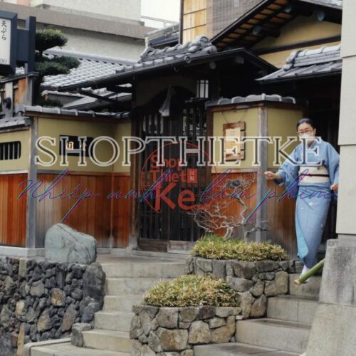 Preset Kodak Ektar 100 Negative – Mô Phỏng Phim Âm Bản Sắc Nét Rực Rỡ (XMP/CUBE)