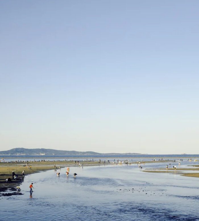 shopthietke com Shopthietke.com 166