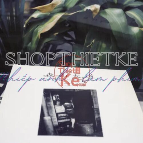 Preset Kodak Ektar 100 Negative – Mô Phỏng Phim Âm Bản Sắc Nét Rực Rỡ (XMP/CUBE)