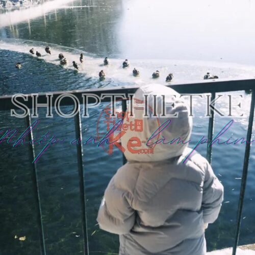 Preset Giả Lập Kodak Gold 200 SP3000 – Màu Phim Hoài Niệm Sắc Nét (XMP/CUBE)