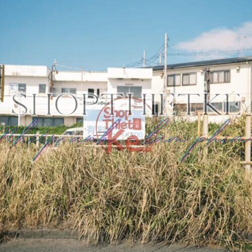 Preset Giả Lập Kodak Gold 200 SP3000 – Màu Phim Hoài Niệm Sắc Nét (XMP/CUBE)