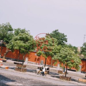 Preset Giả Lập Kodak Gold 200 SP3000 – Màu Phim Hoài Niệm Sắc Nét (XMP/CUBE)