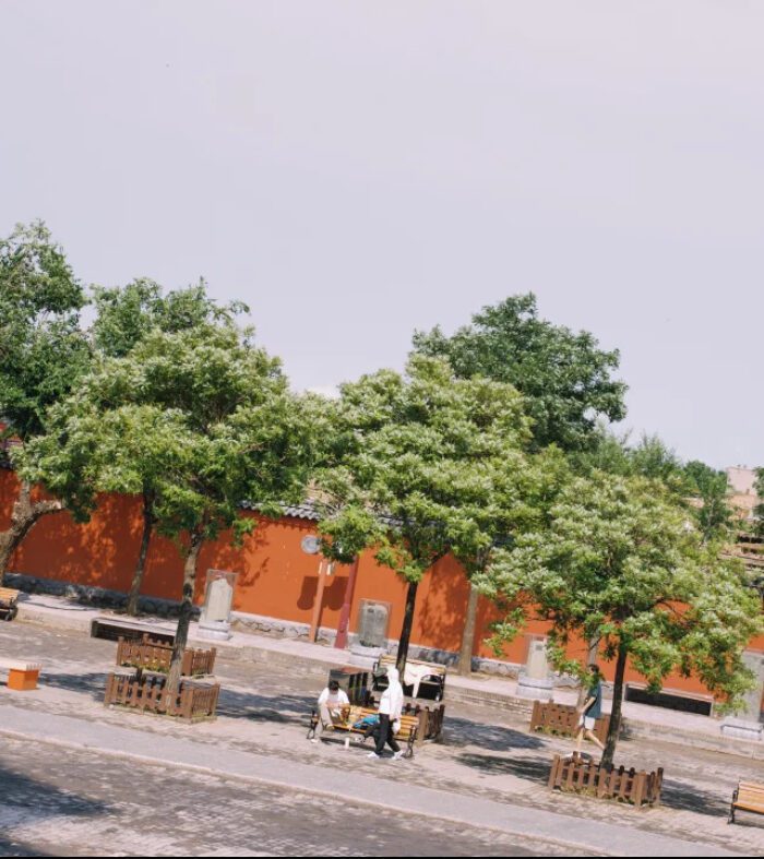 Preset Giả Lập Kodak Gold 200 SP3000 – Màu Phim Hoài Niệm Sắc Nét (XMP/CUBE) 13 shopthietke com Shopthietke.com 183