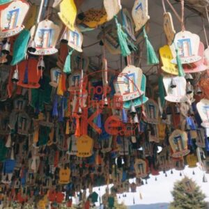 Bộ Preset Ảnh Film C200 SP3000 Phong Cách Retro Tương Thích JPG RAW (XMP/CUBE/ICC)